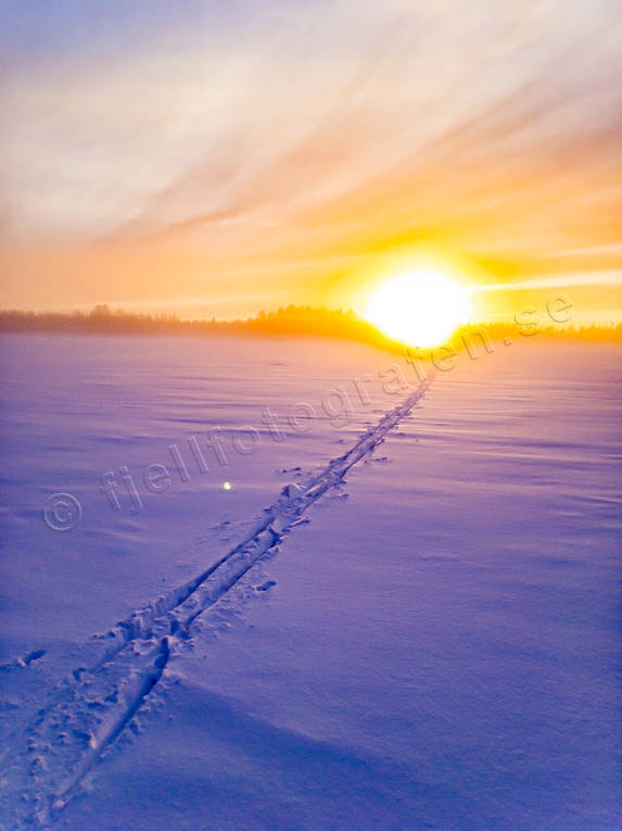 Skidspår mot solen canvastavla, Fototavla, Jämtland, Landskap, skidspår, snö, solnedgång, tavla, vinter