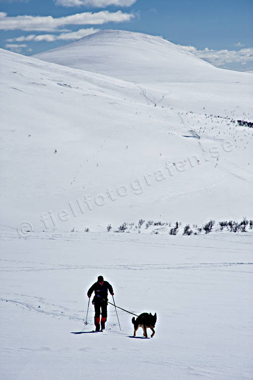 Skidåkare i Sododalen i Sonfjället fjäll, fjällen, Högfjället, Korpflyet, nationalpark, nationalparker, skidåkare, Sododalen, Sonfjället, turåkning, vinter, äventyr