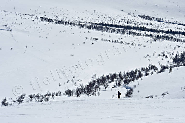 Skidåkare i Sododalen i Sonfjället Härjedalen, Landskap, nationalpark, nationalparker, skidåkare, skidåkning, Sododalen, Sonfjället, turåkning, vinter