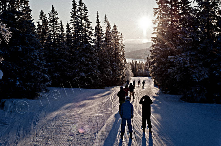 fritid, Jämtland, Landskap, skidåkare, skog, utförsåkning, vinter, äventyr