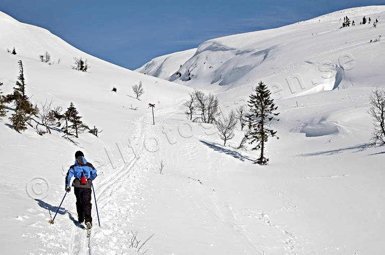 skidor, skidåkare, skidåkning, turåkning, vinter, Åre, äventyr