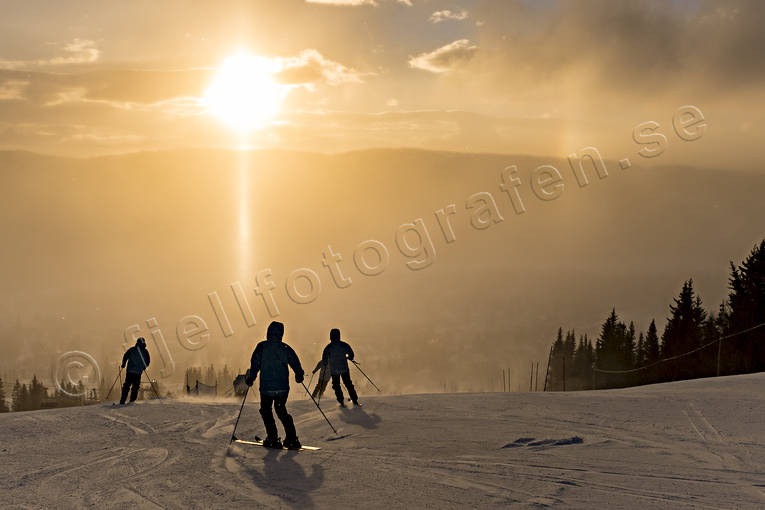 Skidåkning solnedgång kallt, människor, skidbacke, skidåkare, solnedgång, sport, utförsåkare, utförsåkning, vinter, äventyr