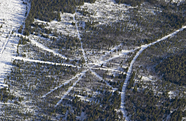 Skjutgator runt jakttorn allmänjakt, jakt, jakttorn, pass, passkytt, skjutgata, skjutgator, vaktjakt, älgjakt, älgpass