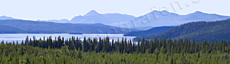 Skog sjö och fjäll i Lappland berg, blå, blånande, fjäll, Landskap, lappland, panorama, panoramabilder, sjö, skog, sommar, vildmark, ödemark