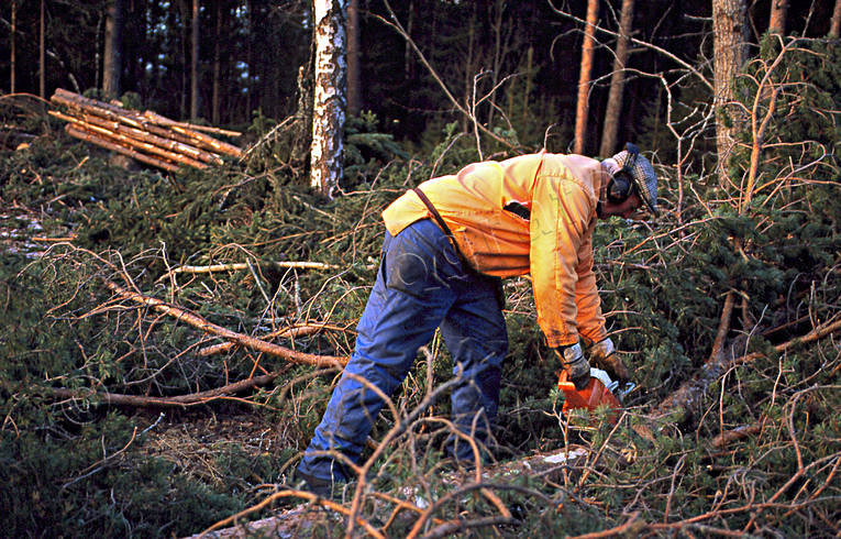 Skogsarbete arbete, motorsåg, skog, skogsarbetare, skogsarbete, skogsbruk, skogshuggare, timmer