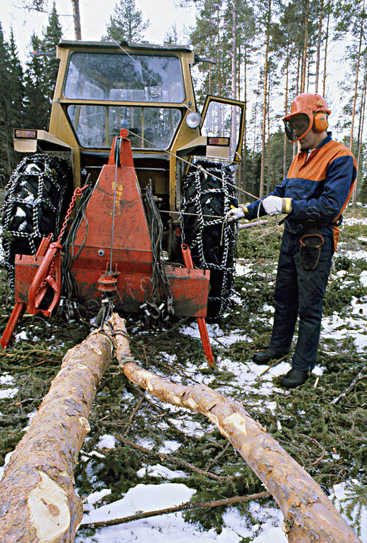 Skogsarbete arbete, skog, skogsarbete, skogsbruk, skogshuggare, stockar, timmer, timmerstockar, traktor