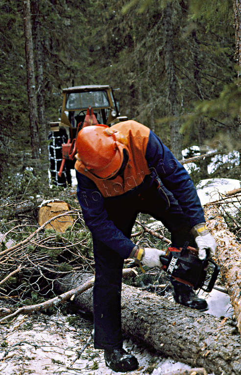 arbete, skog, skogsarbete, skogsbruk, skogshuggare, stockar, timmer, timmerstockar, traktor