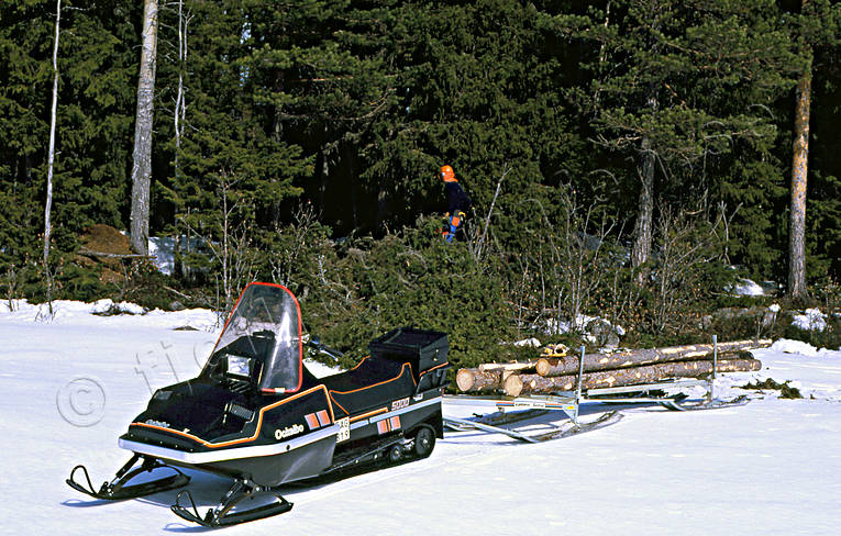 arbete, skog, skogsarbete, skogsbruk, skogshuggare, skoter, stockar, timmer