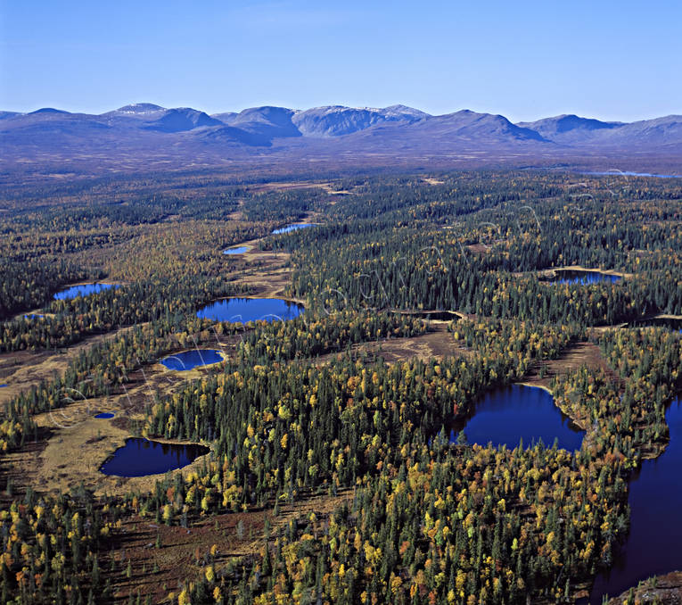 Skogstjärnar söder om Tossåsen drönarbilder, drönarfoto, fjäll, fjällsjö, flygbild, flygbilder, Flygfoto, flygfoton, Härjedalen, höst, Landskap, Lunndörrsfjällen, Storsjö, Ytteröversjön