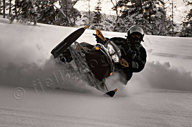 Skoter i pudersnö buskörning, kommunikationer, landfart, lek, lössnö, motor, pudersnö, skoter, snöskoter, vinter, äventyr