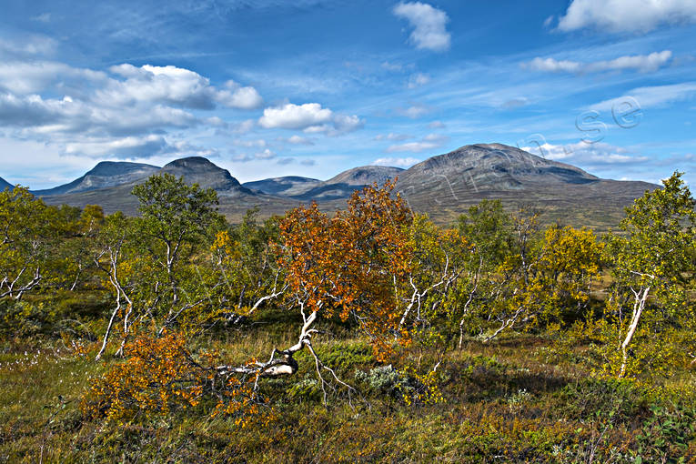 fjll, fjllandskap, fjlltopp, getryggen, hgfjll, hst, hstfrger, Jmtland, Landskap, natur, rd, rtt, Snasen, Snasenmassivet, Storsnasen, tvrklumpen