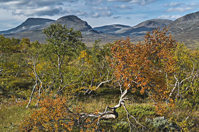 fjll, fjllandskap, fjlltopp, getryggen, hgfjll, hst, hstfrger, Jmtland, Landskap, natur, rd, rtt, Snasen, Snasenmassivet, Storsnasen, tvrklumpen