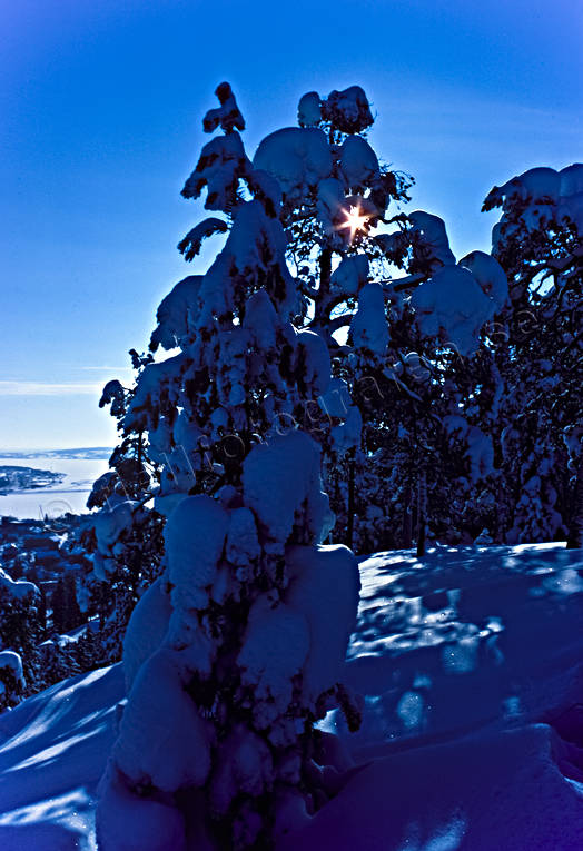 blå, Frösöberget, Jämtland, motljus, snö, snötyngd, sol, stämning, stämningsbild, stämningsbilder, vinter, årstid, årstider