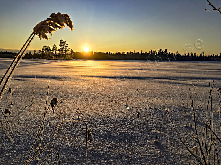 julstmning, midvinter, motljus, natur, sj, solnedgng, stmning, stmningsbild, stmningsbilder, vinter, rstid, rstider