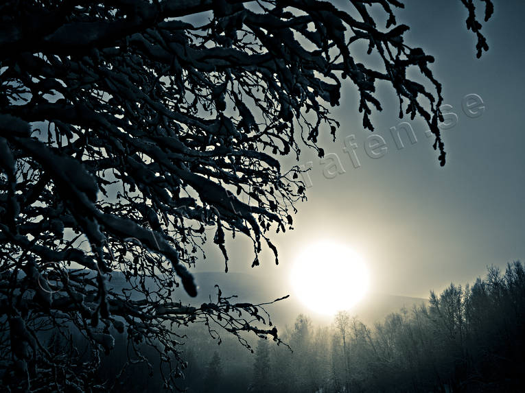Jmtland, Landskap, natur, skog, vinter, rstider