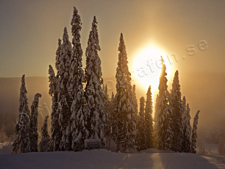 granar, Jämtland, Landskap, sol, solnedgång, vinter, årstider