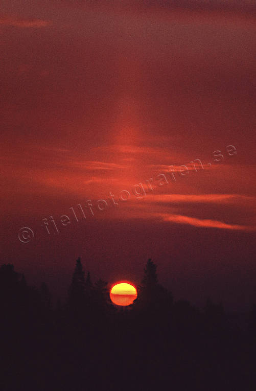 granskog, himmel, Jmtland, kvll, rd, skog, sol, solnedgng, soluppgng, stmning, stmningsbild, stmningsbilder, trdtoppar, vr, rstid, rstider