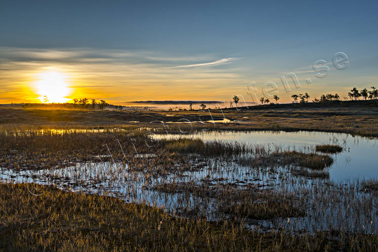 fjllnatur, fjlltjrn, gryning, himmel, Jmtland, Landskap, morgon, morgondimma, myr, natur, soluppgng, sommar, stmning, stmningsbild, stmningsbilder, rstid, rstider