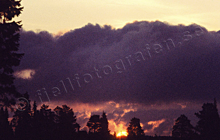 brinnande, himmel, moln, skog, solnedgng, soluppgng, stmning, stmningsbild, stmningsbilder, vr, rstid, rstider