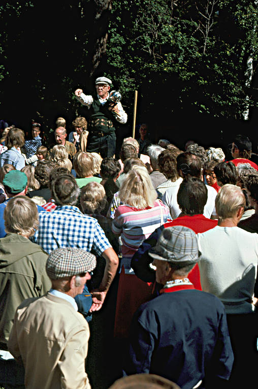 Sommarauktion i Solberg auktion, folksamling, kultur, nutid, sommar, sommarauktion, uteliv