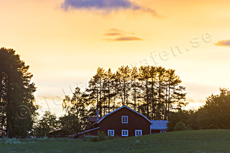 Sommarnatt över ladugård byggnader, himmel, Jämtland, ladugård, Landskap, natt, rodnad, sommarnatt