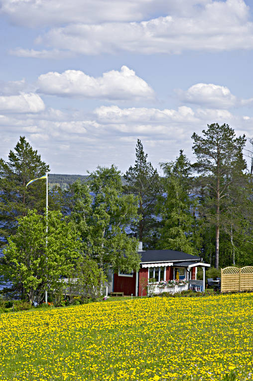 frsommar, Jmtland, Landskap, maskrosor, maskrosng, sommar, sommarstuga, Storsjn, stuga, torp, rstid, rstider