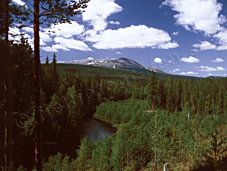 fjllskog, Hrjedalen, Landskap, skog, sommar, sommarmoln, Sonfjllet, Valmen