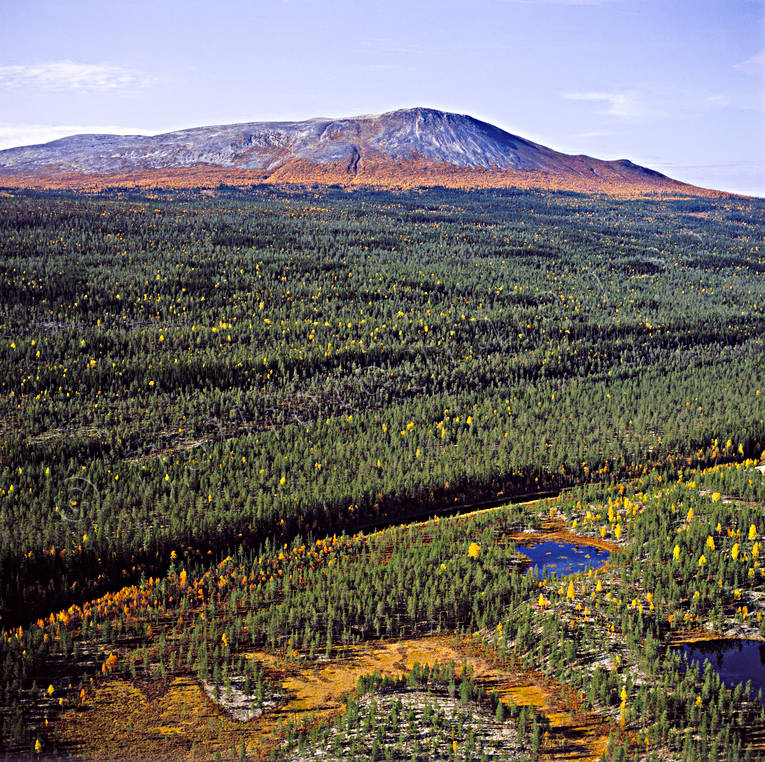 Sonfjället och fjällnära skog drönarbilder, drönarfoto, fjäll, fjällbilder, FJÄLLEN, fjällnära, fjällskog, flygbild, flygbilder, Flygfoto, flygfoton, Härjedalen, höst, höstfärger, lågfjäll, nationalpark, skog, Sonfjället