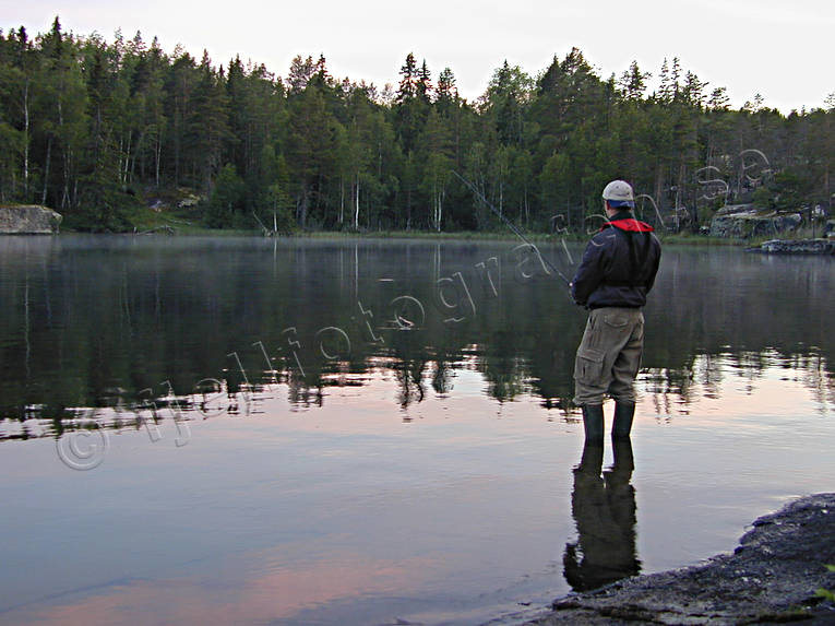 Spinnfiske en tidig morgon fiske, Forsån, haspel, haspelfiske, morgon, spinn, spinnfiske, sportfiske