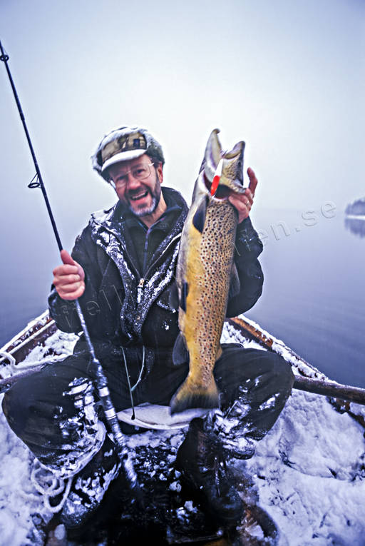 Sportfiske Öring på fem kilo båtfiske, fiske, Gevsjön, gevsjööring, haspel, insjööring, spinnfiske, sportfiskare, sportfiske, vinterfiske, öring, öringfiske