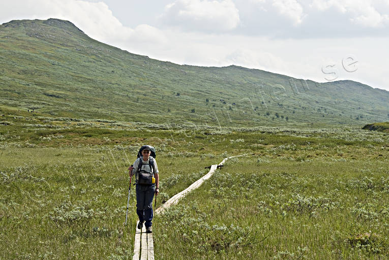 Spångad led i Sarek fjäll, fjälled, fjällen, fjällvandra, fjällvandrare, fjällvandring, led, sarek, sommar, spång, spångad, äventyr