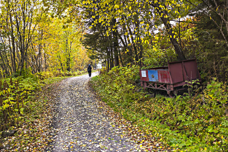 Stig i höstskogen bergbanan, höst, höstfärger, höstlöv, Jämtland, skog, stig, vagn, väg, årstider