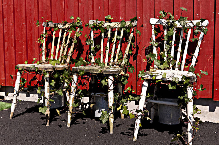 Bohusln, grnska, milj, natur, pinnstol, sommar, stol, stolar, vxter, rstider