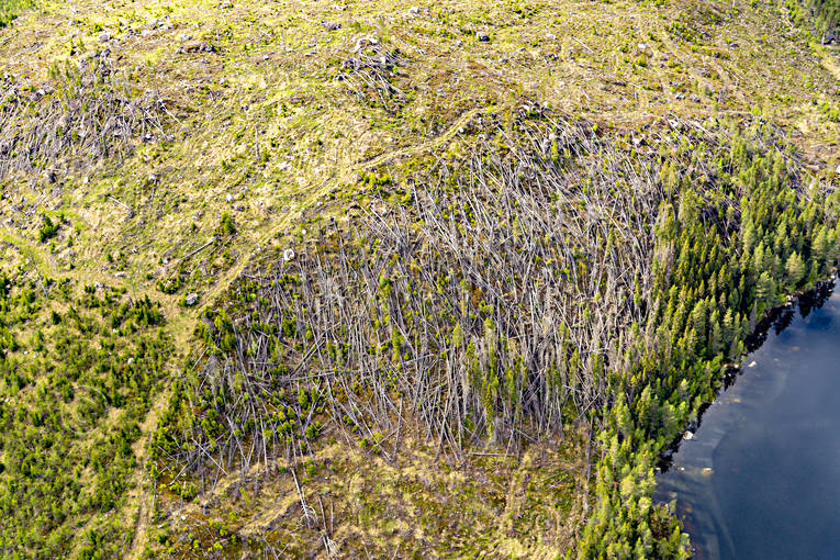 arbete, drnarbild, drnarbilder, drnarfoto, flygbild, flygbilder, Flygfoto, flygfoton, Jmtland, Landskap, natur, skog, skogsbruk, stormflld, stormfllta, trd, vr