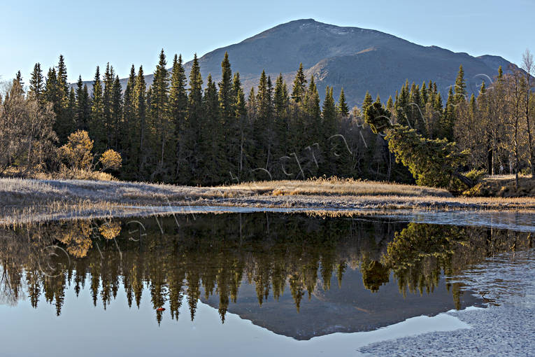 Storsnasen speglar sig i tjärnen björk, björklöv, Enafors, Enaforsholm, Enan, fjäll, fjällandskap, fjällen, fjälltjärn, fjälltopp, fjälltoppar, frost, högfjäll, höst, höstfärger, höstmorgon, Jämtland, Landskap, natur, skog, Snasahögarna, Snasen, spegling, Storsnasen, stämmning, stämningsbild, stämningsbilder, tjärn, vatten, årstid, årstider