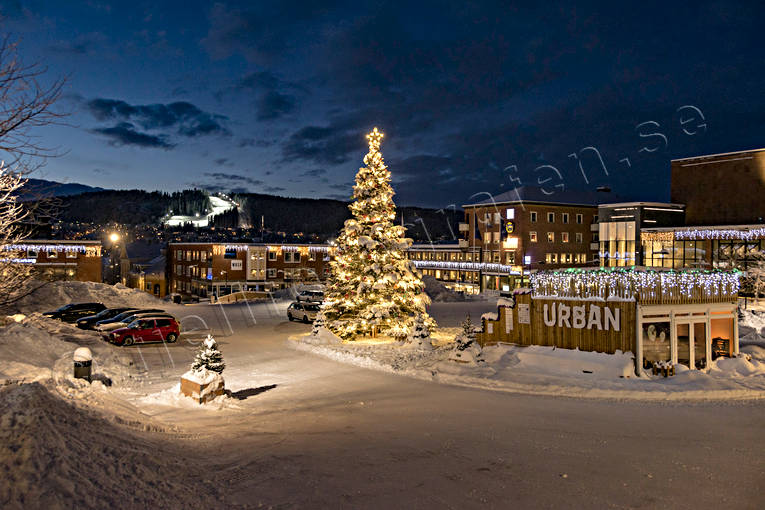 julgran, julstämning, Jämtland, kväll, snö, stad, Stortorget, städer, stämning, stämningsbild, stämningsbilder, torg, torget, vinter, vinterkväll, vinterstämning, Östersund