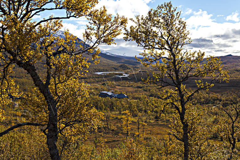 fjll, fjllen, fjllskog, fjlltopp, hgfjll, hst, hstfrger, Jmtland, Landskap, natur, skog, Storulvn, Storulvn fjllstation, rstid, rstider