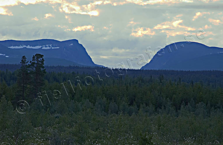 Storådörren fjäll, fjällskog, Jämtland, Landskap, Ljungdalen, skog, sommar, Storsjö, Storådörren