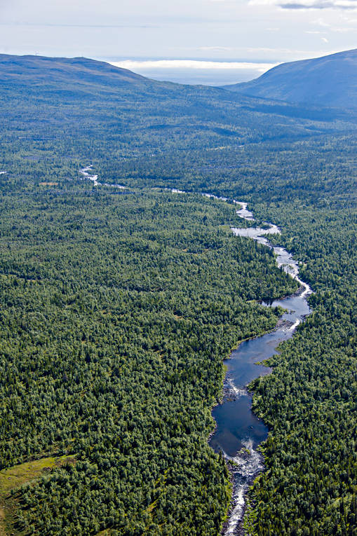 Storån Flygfoto drönarbilder, drönarfoto, flygbild, flygbilder, Flygfoto, flygfoton, Jämtland, sommar, Storån, älvar