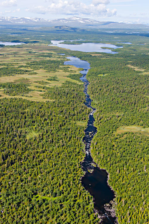Storån Flygfoto drönarbilder, drönarfoto, flygbild, flygbilder, Flygfoto, flygfoton, Jämtland, sommar, Storån, älvar