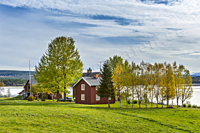 Strandnära gård anläggningar, byggnader, gårdar, hus, höst, höstfärger, Jämtland, Landskap, rödmålad, strandnära