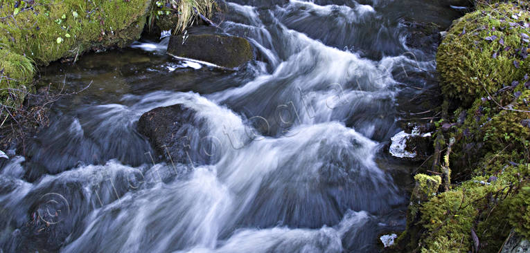 hst, natur, rofylldhet, skog, skogsbck, strmmande, vatten, rstid, rstider