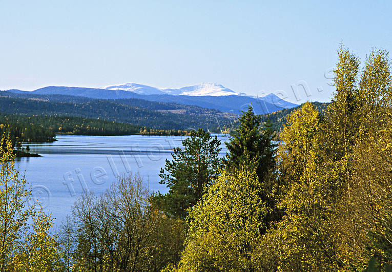 Bgede, fjll, hst, hstfrger, Jmtland, Landskap, Munsfjllet, Strms Vattudal
