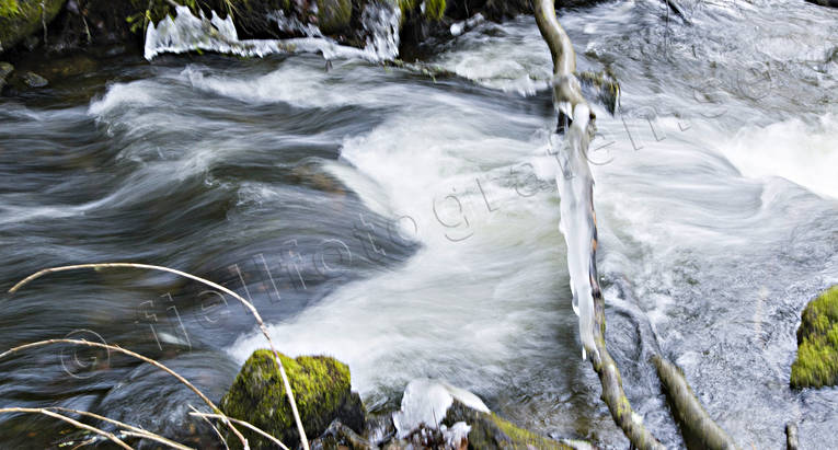 Strömmande vatten Skogsbäck höst, natur, rofylldhet, skog, skogsbäck, strömmande, vatten, årstid, årstider