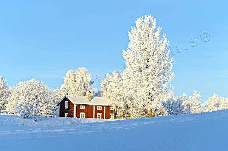 byggnader, Jmtland, stuga, stugor, stmningsbild, vinter, rstid, rstider