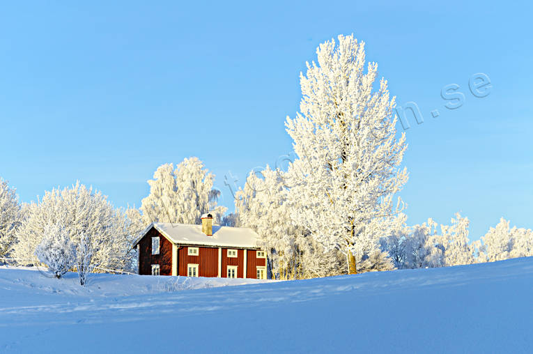 byggnader, Jämtland, stuga, stugor, stämningsbild, vinter, årstid, årstider