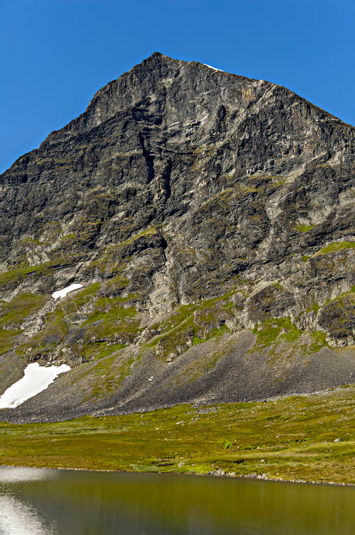 Suorrekaise vid Livamjaure Landskap, lappland, Livamjaure, Livamvagge, sommar, Suorrekaise