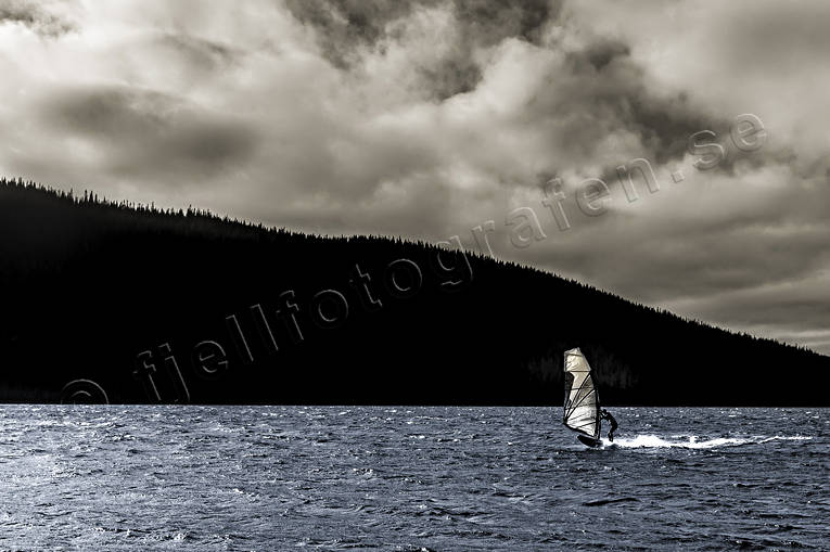 Surfare på Åresjön höst, segel, sjö, surfa, surfare, utmaning, vattensport, windsurfa, Åresjön, äventyr