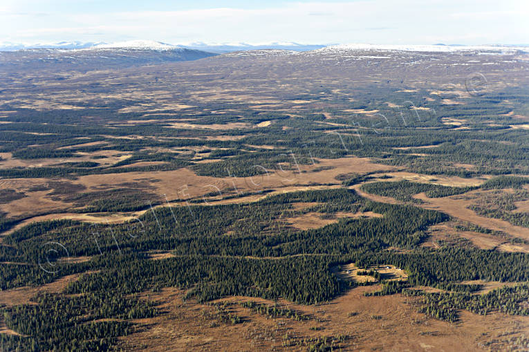 Svenstavik Jämtland Sweden drönarbilder, drönarfoto, flygbild, flygbilder, Flygfoto, flygfoton, höst, Jämtland, Landskap