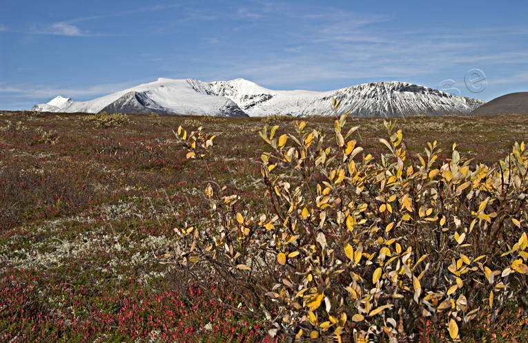 Sylarna med första snön fjälltoppar, höst, höstfärger, Jämtland, Landskap, snö, snöpudrade, sylarna